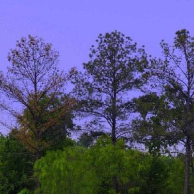 云博体育平台官网下载