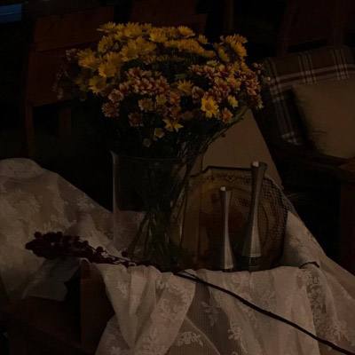 极速赛车社区合作平台